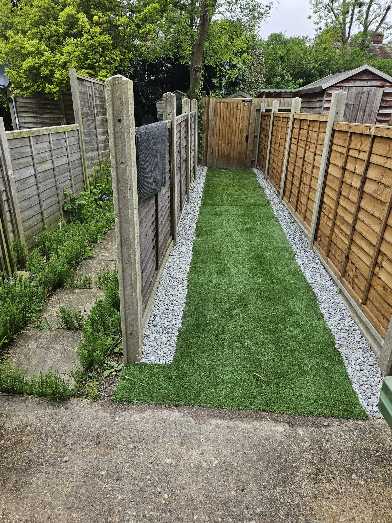 Small Garden with wooden fence